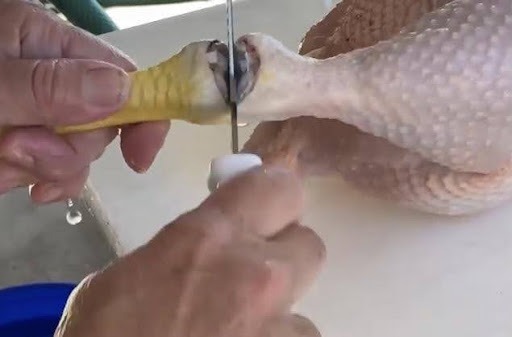 removing chicken feet