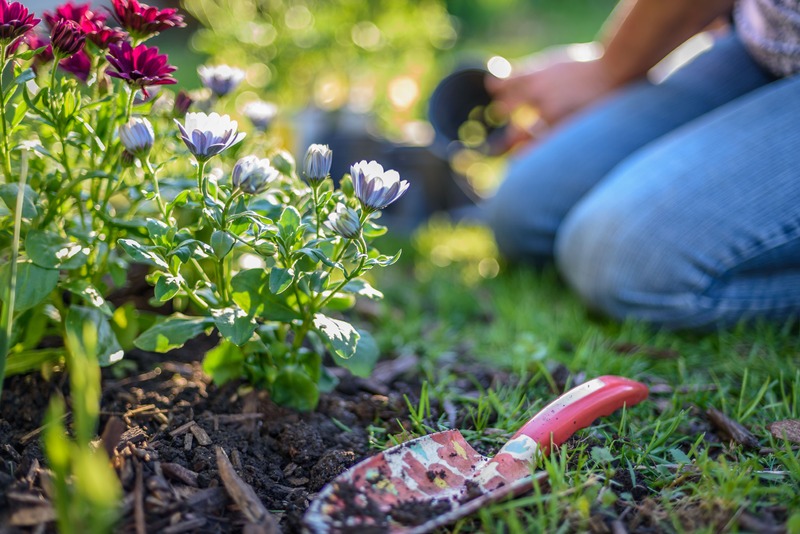 a lady sitting by her flower bed