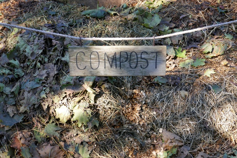 a compost pile