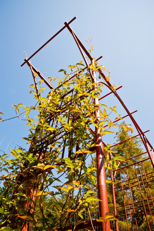 Trellis-made- of-bamboo