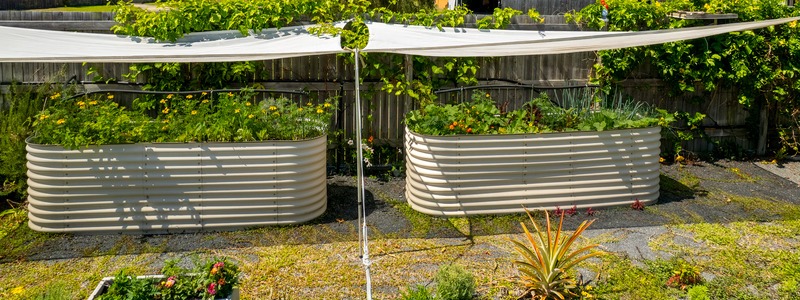 shade cloth over raised garden beds