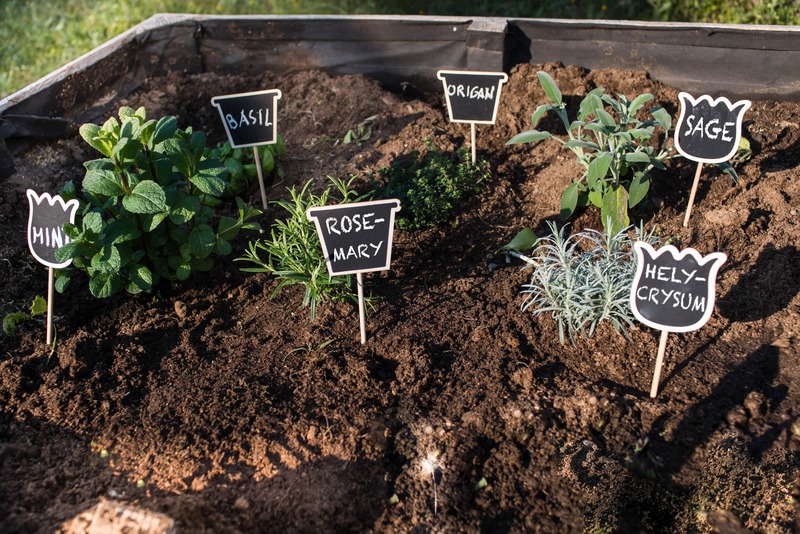 herbs planted in raised bed with plant markers
