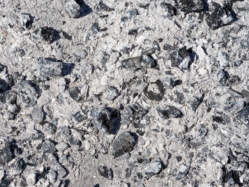 wood ash