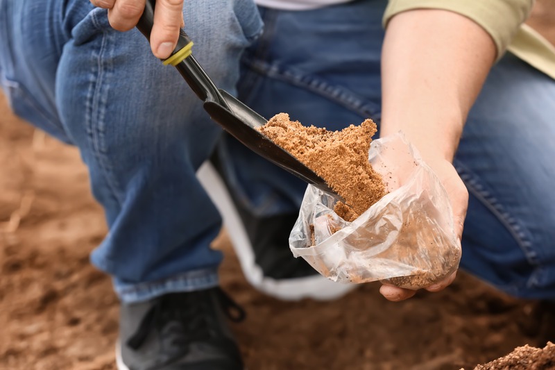 collecting a soil sample to test