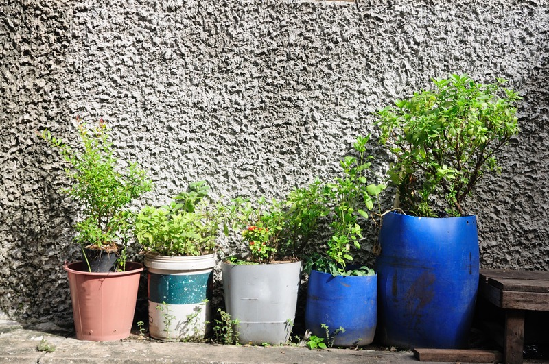large-planters-made-from-bucket-and-other-reused-containers-with-plants
