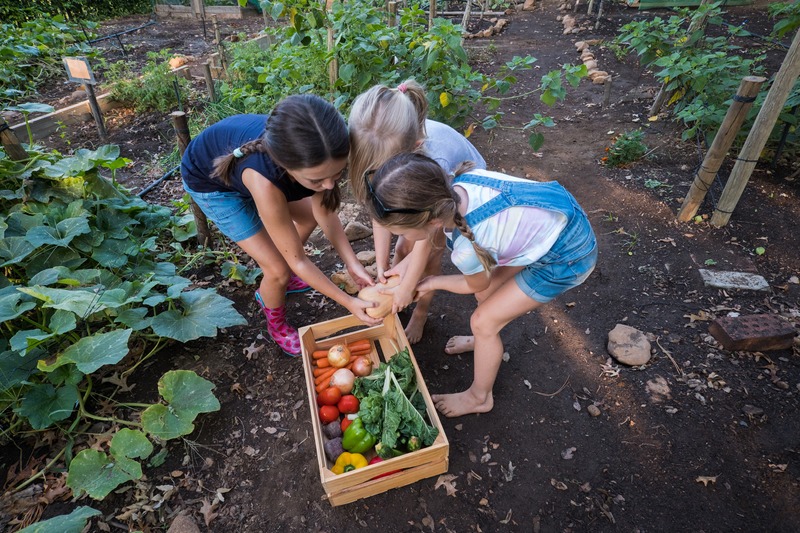 kids putting veggies in a basket in the garden
