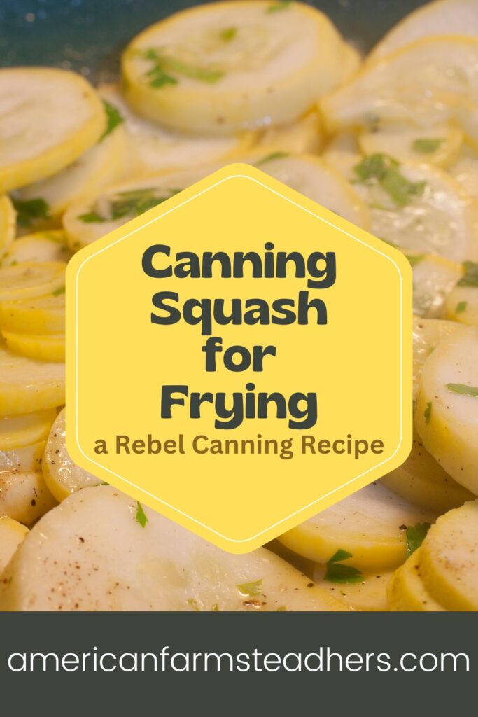 Canning Squash for Frying featured image