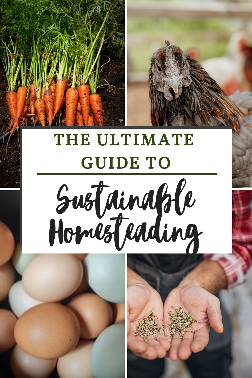 sustainable homesteading
