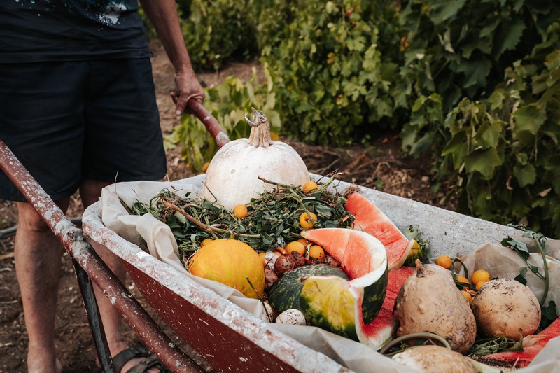 a wheel barrel full of kitchen scraps