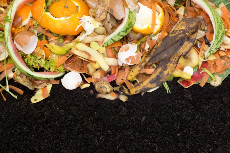turning-food-scraps-into-compost