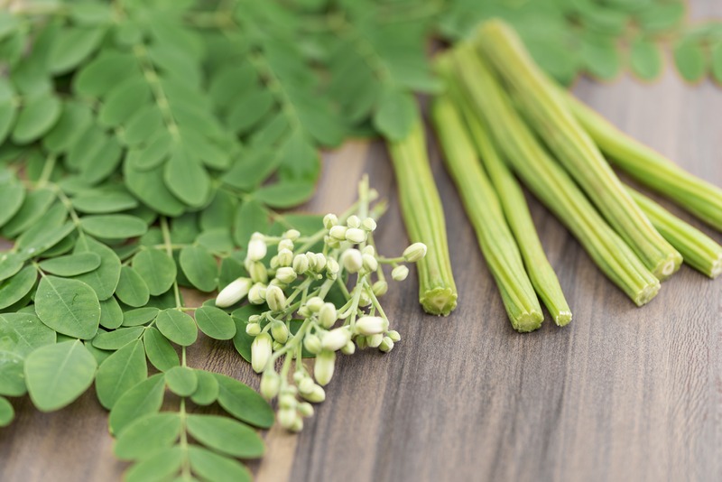 parts of the moringa plant showing leaves flowers and seed pods