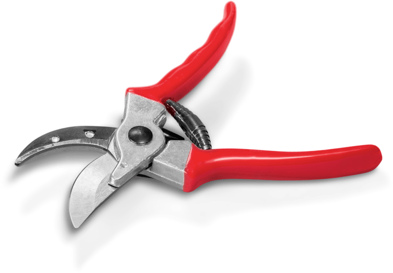 pruning-shears