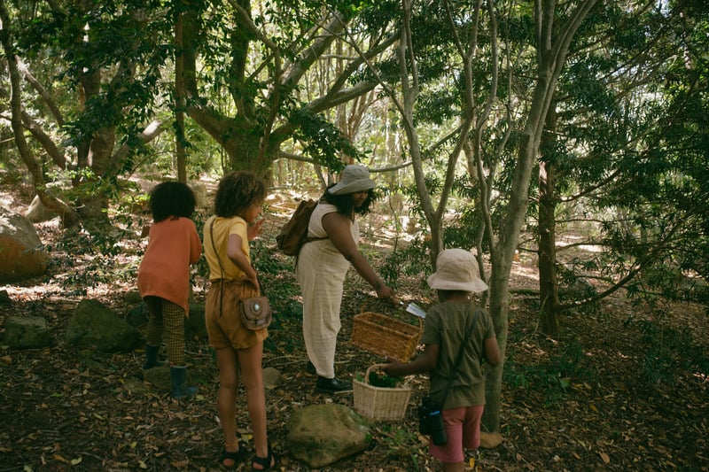 people foraging in the woods