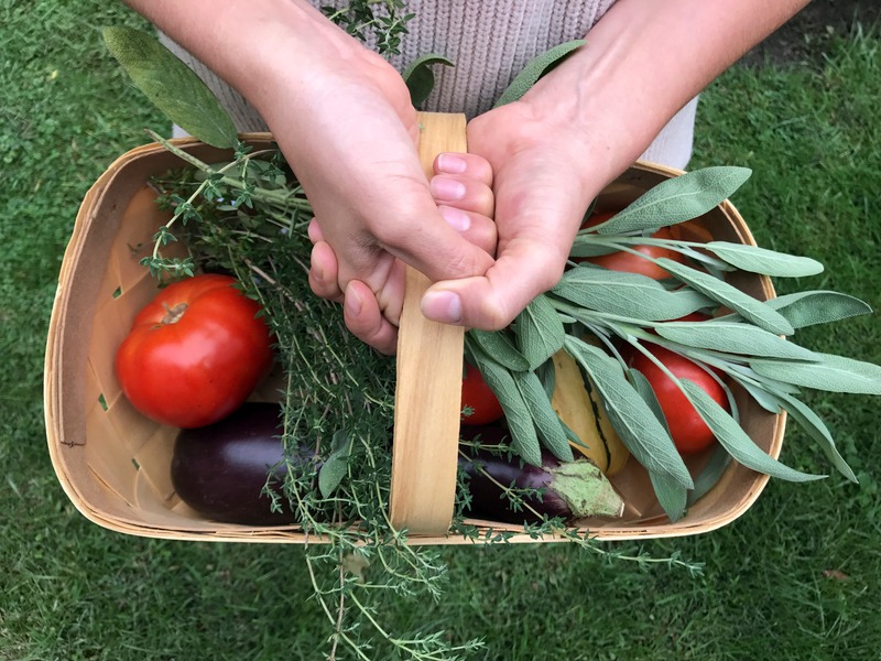 vegetable-harvest-basket