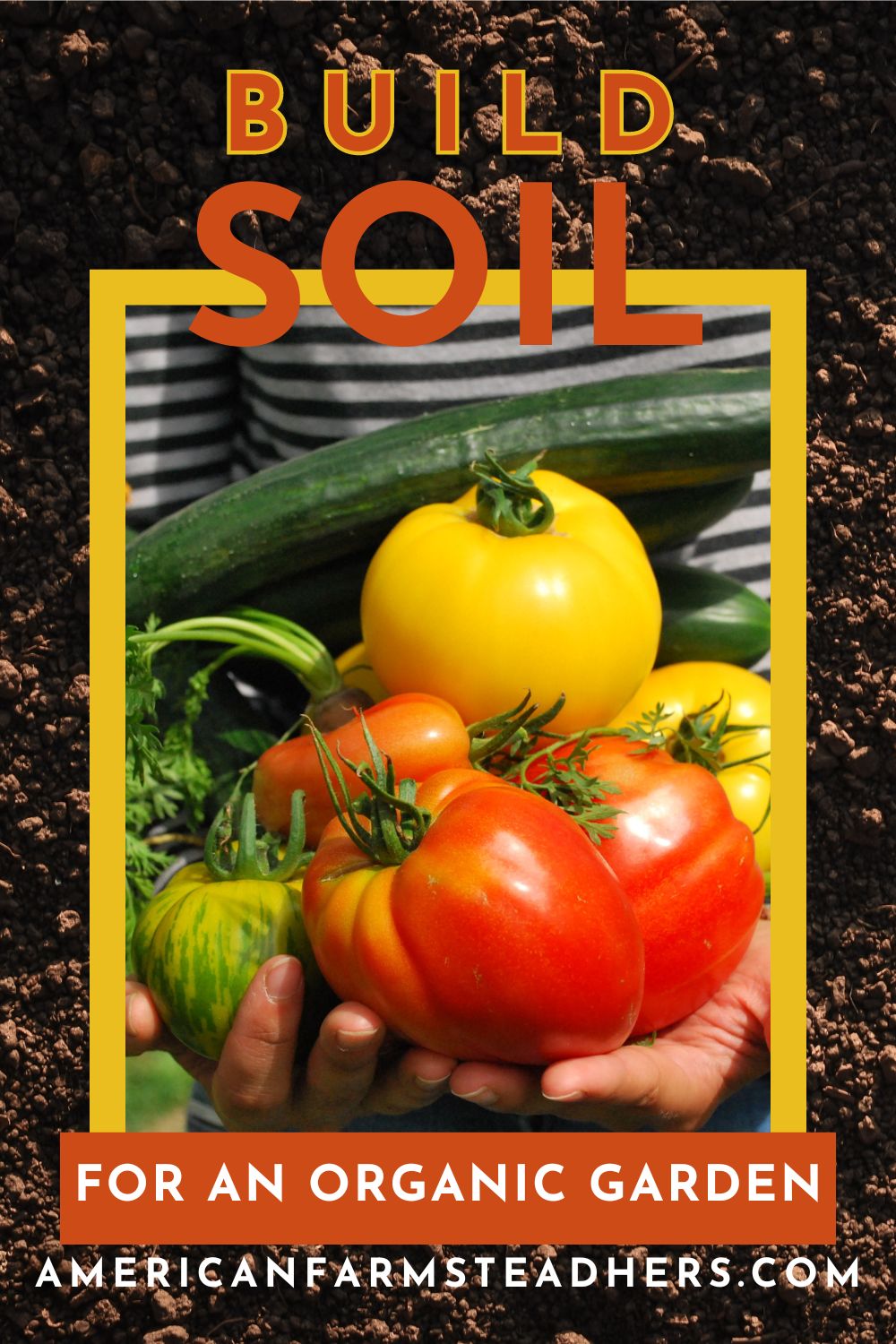 build soil featured image