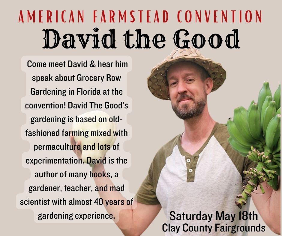 david the good flyer