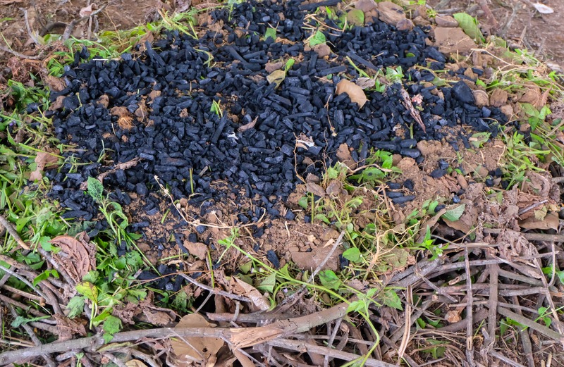 biochard with mound of sticks and mud beneath