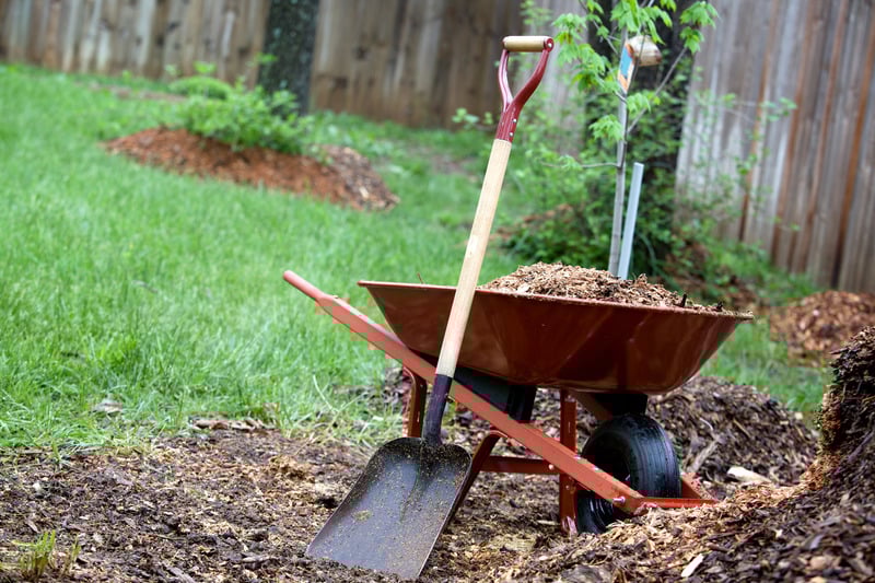 a wheel barrow full of mulch