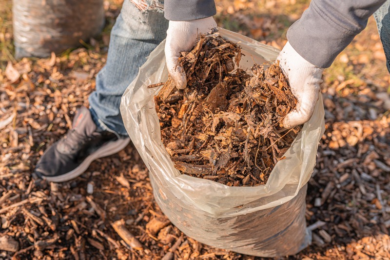 a bag of mulch