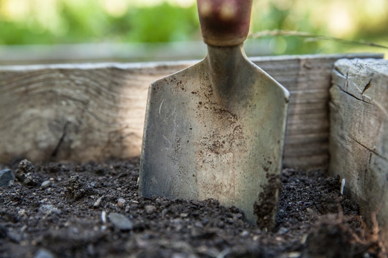 a shovel in the soil