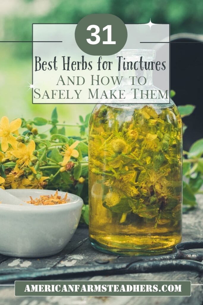 best herbs for tinctures