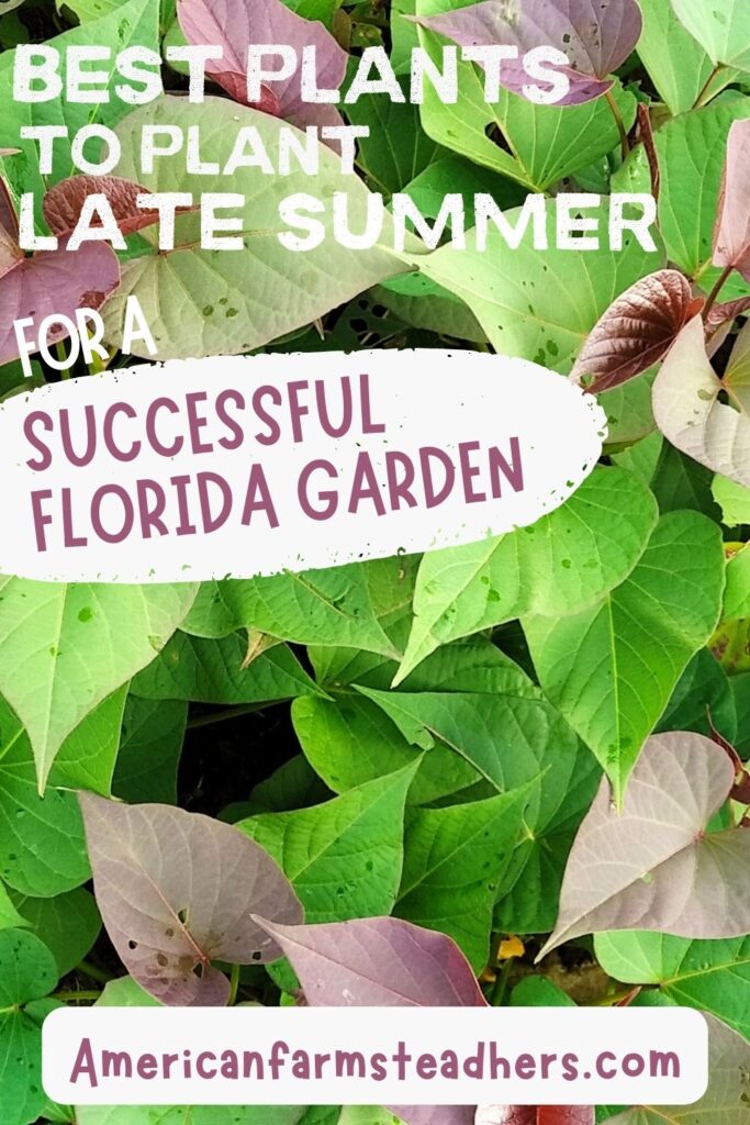 best plants to plant late summer