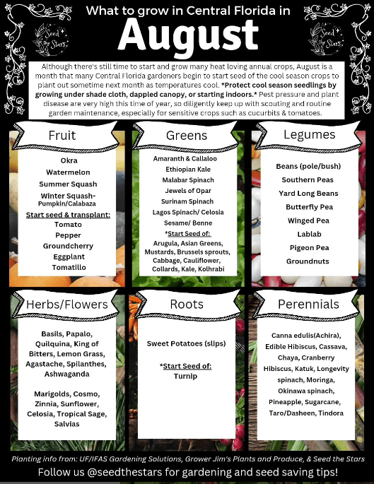 what to plant in august