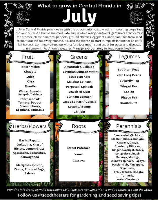 what to plant in july