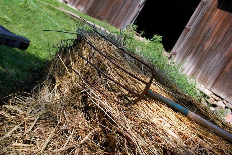 pitchfork in hay