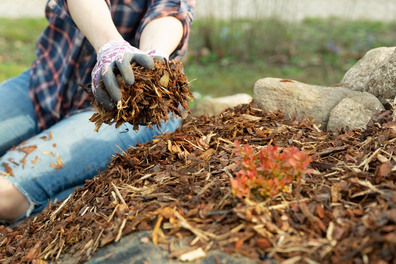 a handful of mulch