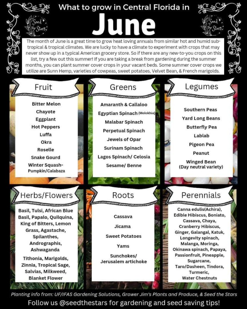 best plants to plant in june