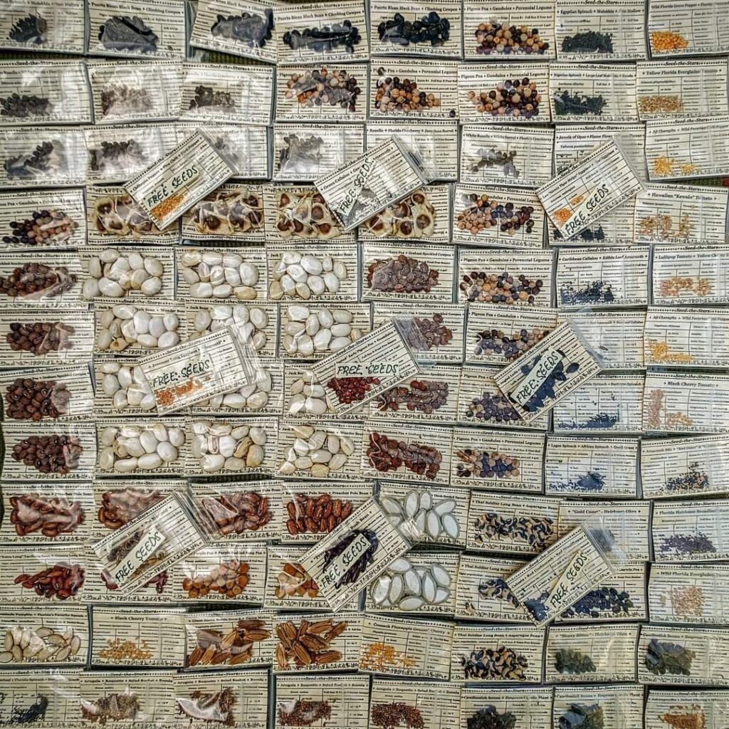collection of locally adapted seeds