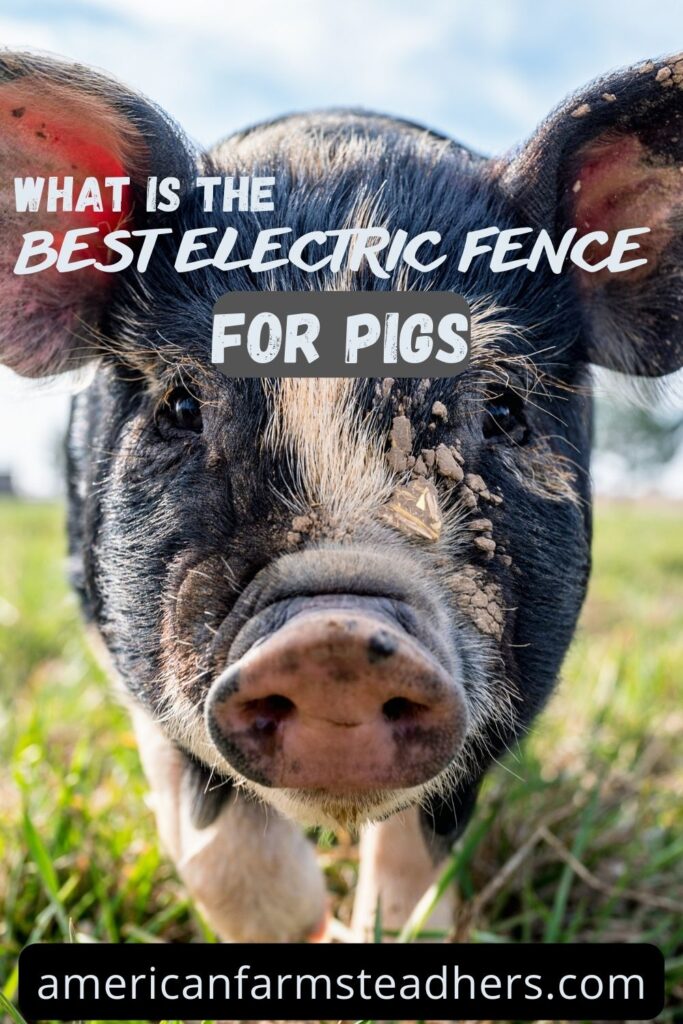 best electric fence for pigs