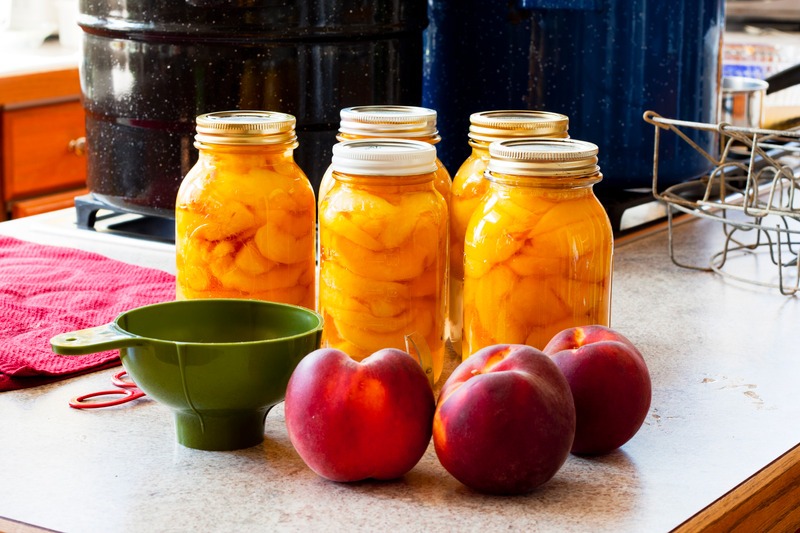 Five canning jar full of peaches, ready for the water bath, along with three freash peaches, a canning funnel, and canning pots in the background.