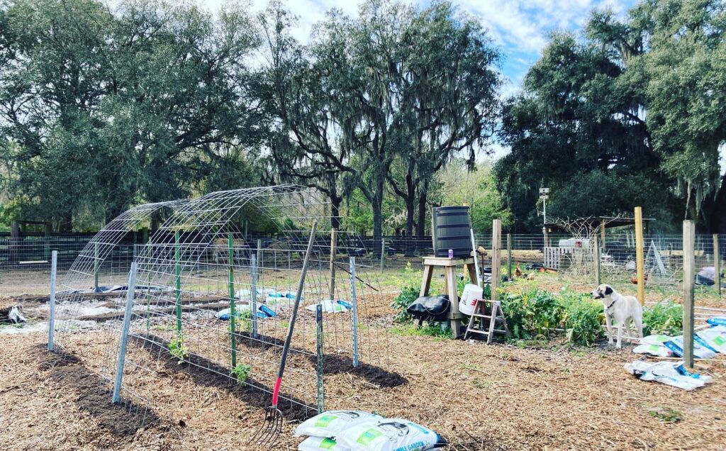 an arch trellis right after beiing installed