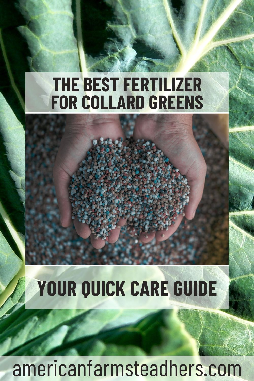 best fertilizer for collard greens