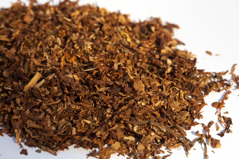Pile of shredded dry tobacco leaves