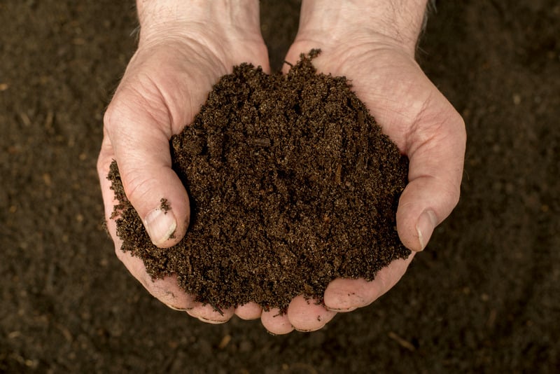 handful of compost