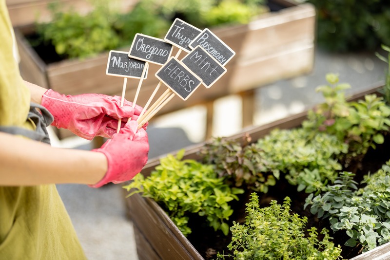 putting plant markers in the herb garden