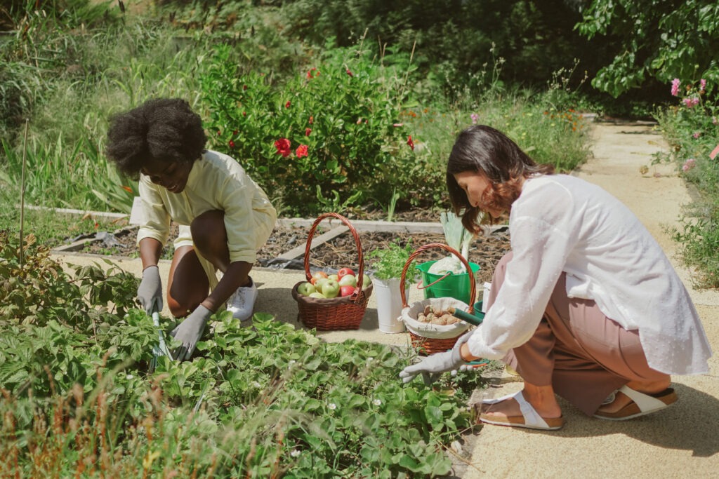 homestead community ladies garden together