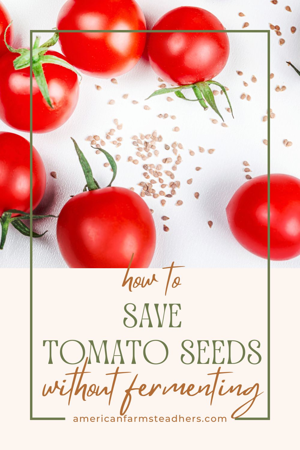 how to save tomato seeds without fermenting featured image