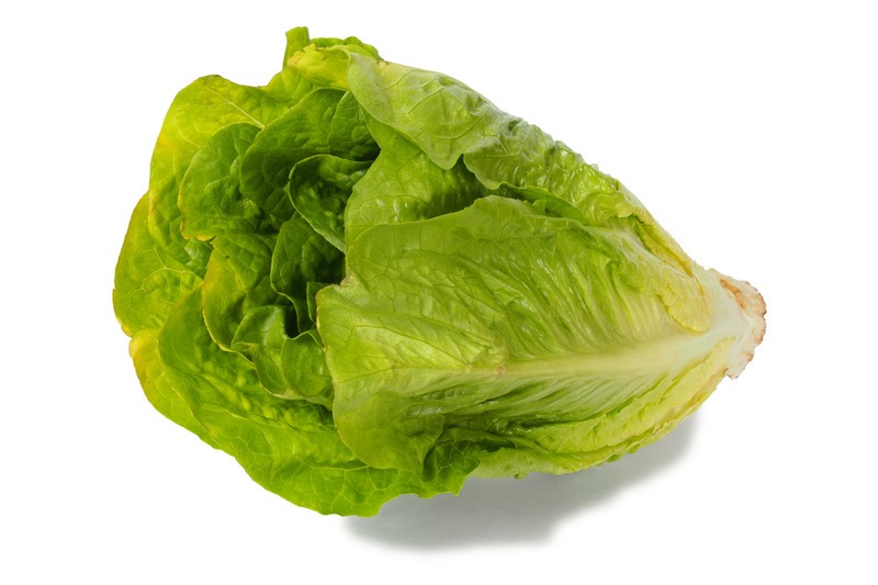 a head of romaine lettuce