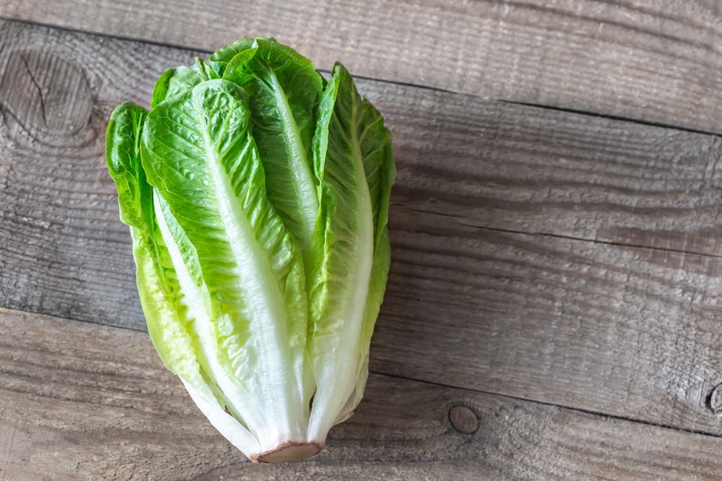 a head of romaine lettuce