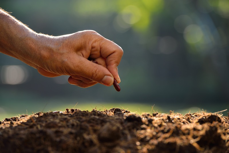 Farmer's hand planting a seed in soil