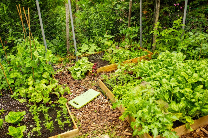 several square foot gardens
