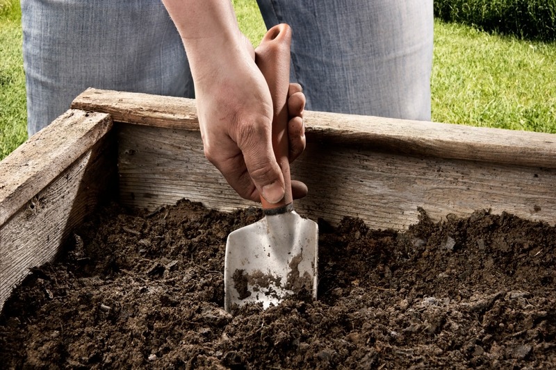 Digging in a raised garden bed