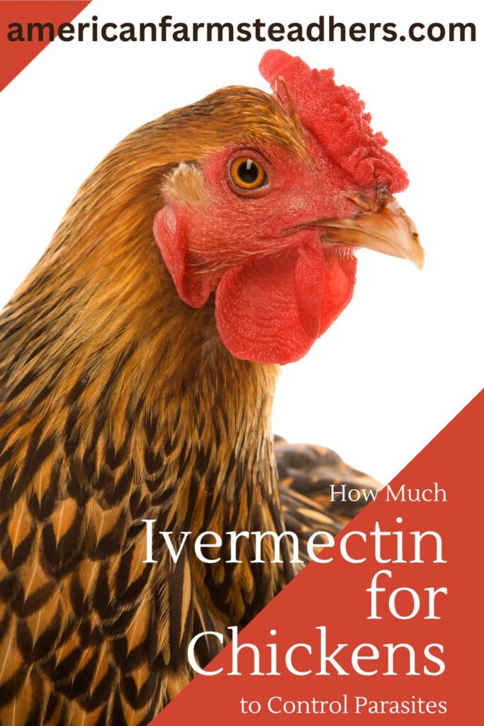 how much ivermectin for chickens featured image