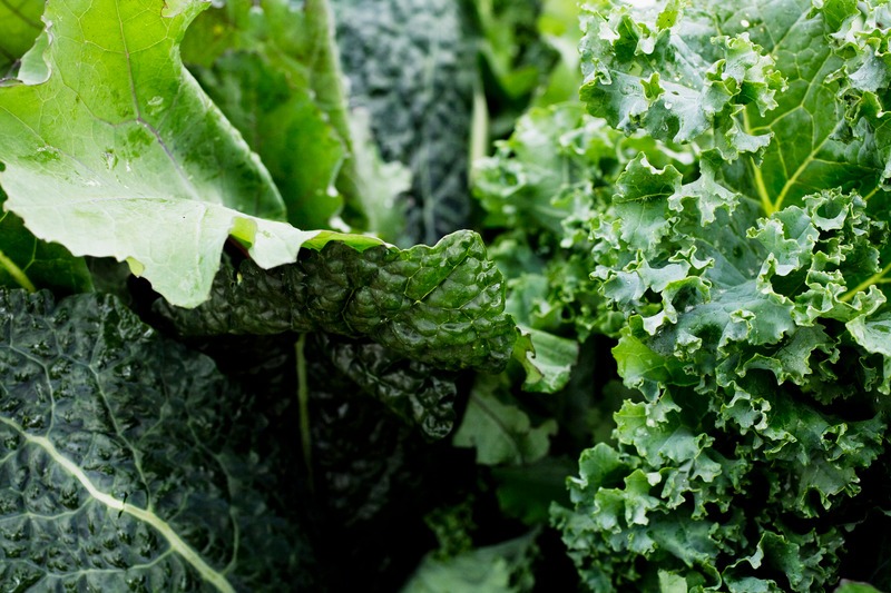 leafy vegetables