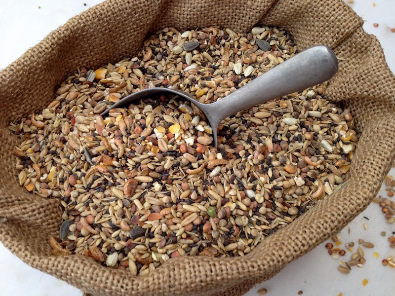 mixed grain bird feed with scoop