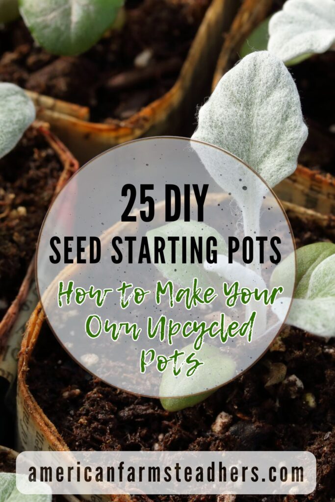 DIY Seed starting Pots